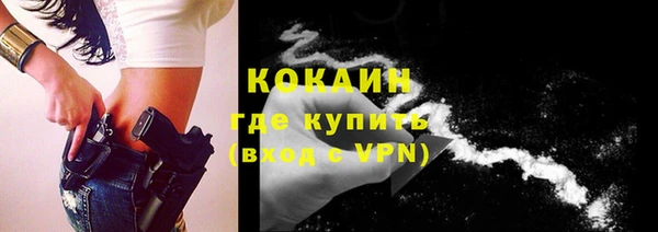 ПСИЛОЦИБИНОВЫЕ ГРИБЫ Заводоуковск