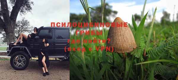 ПСИЛОЦИБИНОВЫЕ ГРИБЫ Заводоуковск