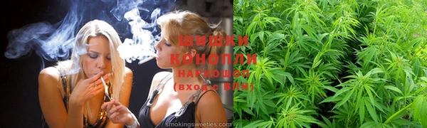 ПСИЛОЦИБИНОВЫЕ ГРИБЫ Заводоуковск