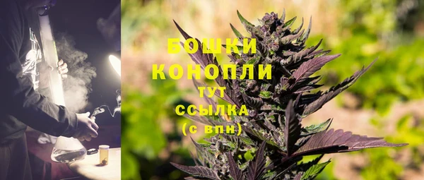 ПСИЛОЦИБИНОВЫЕ ГРИБЫ Заводоуковск