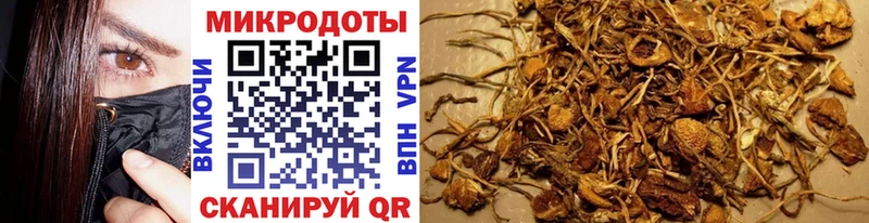 Псилоцибиновые грибы мицелий  сколько стоит  Новое Девяткино 